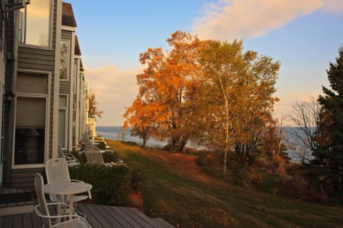 Trees on Lake Superior
